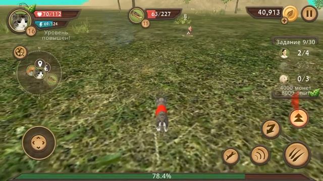 Жизнь кота часть 8 , 3ие поколение уже , скро переезд👪🏠 смотреть онлайн