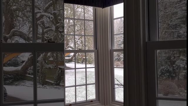 From the windows on 10th March смотреть онлайн