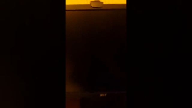 синий экран смерти смотреть онлайн
