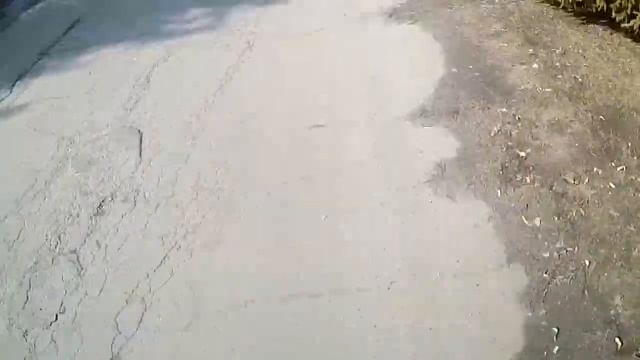 скейт влог: катаемся на скейтах!!