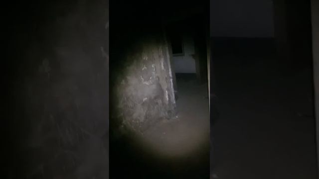 廢棄凶宅探靈 20240119 смотреть онлайн