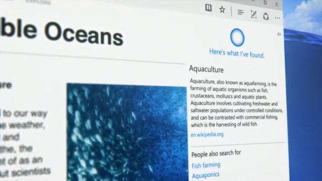 Windows 10 Commercial | Oceans | (31s) (Old Version) смотреть онлайн