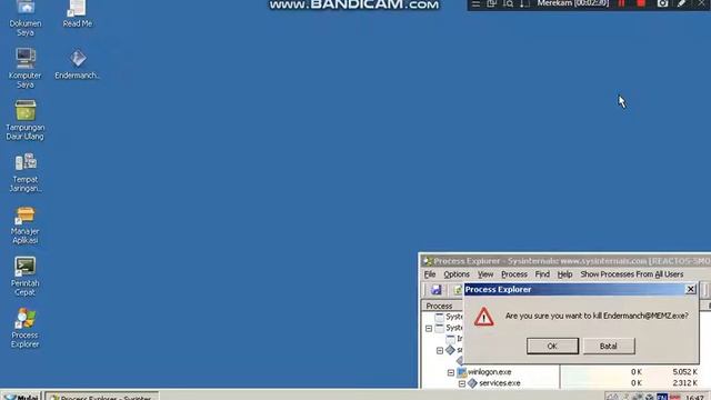 MEMZ on ReactOS смотреть онлайн