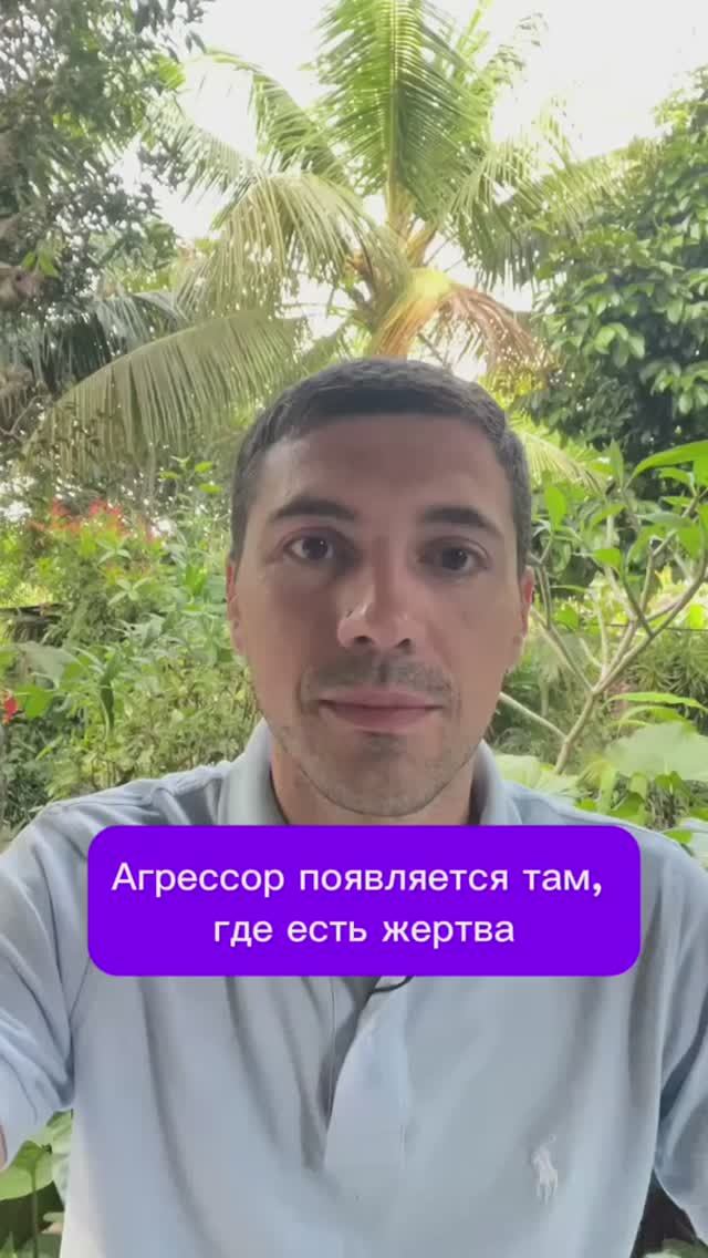 Агрессор появляется там, где есть жертва
#психолог #психология #карпман смотреть онлайн