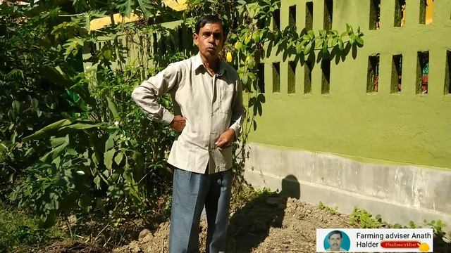 নারকেল গাছের পরিচর্যা|| caring of coconut Tree смотреть онлайн