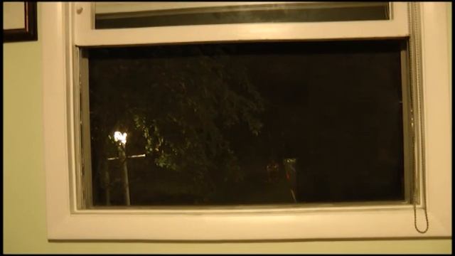 Sasquatch caught looking through the window AUDIO AMPLIFIED смотреть онлайн