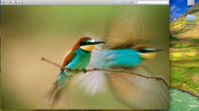 43 hidden wallpapers in Mac OS X Mountain Lion смотреть онлайн