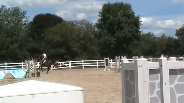 Erin Loitfellner & Life of Reilly Go Bragh- Silverwood Summer HT- Novice Sj смотреть онлайн