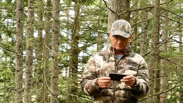 SASQUATCH, Drugs, New Stories, And A Few Photos смотреть онлайн