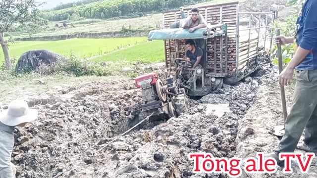 công nông bánh đôi chở gỗ keo lội bùn mặc lay mạnh nhất ở Tây Nguyên (Tập 2) смотреть онлайн