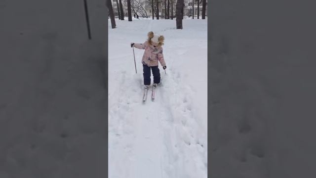 Идрисова Дарья