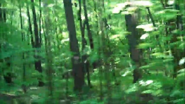 bicycling the GAP (Great Allegheny Passage) part 5 смотреть онлайн