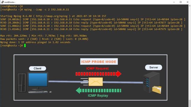 👁️How to Perform Multilayer Network Ping Using NPING (#NPING #NMAP) смотреть онлайн