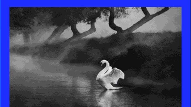 BIRDCAM GreyScale - Apple IIGS Super-Hi Res Transformations by A2B смотреть онлайн