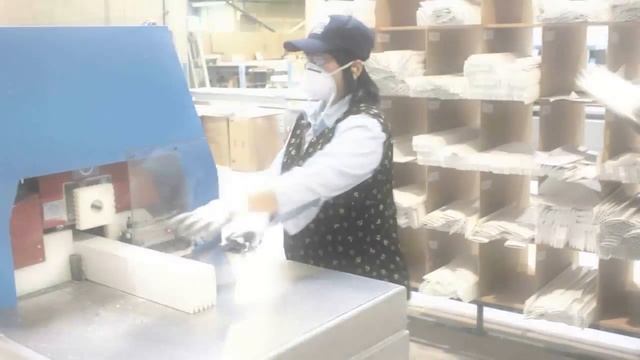 WS SHUTTERS смотреть онлайн