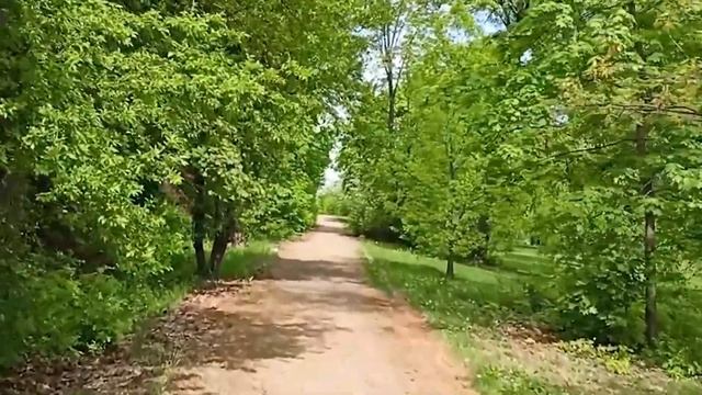 Realme 8i vs Realme 8 Speed Test Comparison смотреть онлайн