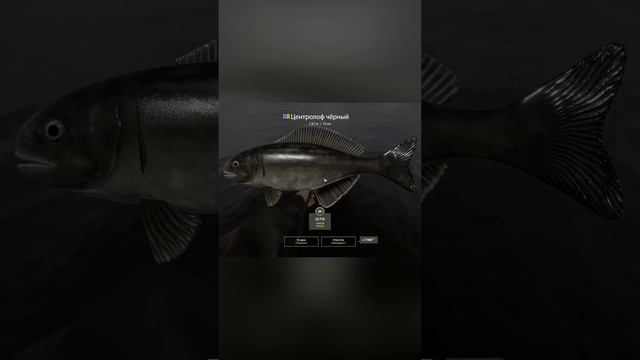 Немного интересностей от Норвежского моря