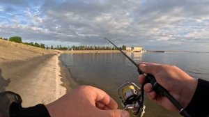 Gamakatsu LUXXE Yoihime Hana S63UL-solid