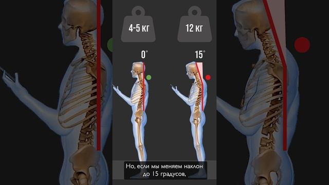 Текстовая шея / Аскеза в кедах смотреть онлайн