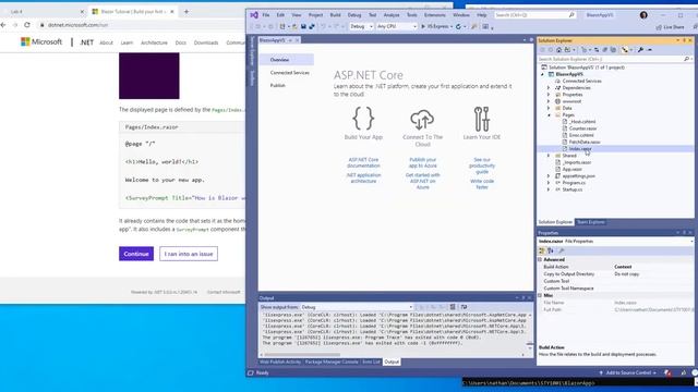 .NET Core Blazor: Tutorial - Build your first Blazor app - Visual Studio 2019 смотреть онлайн