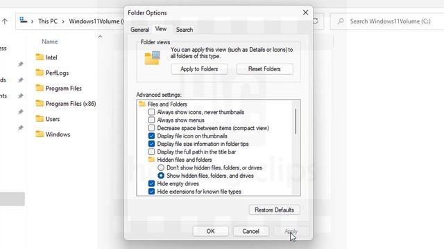 How to Show Hidden Files and Folders in Windows 11 смотреть онлайн