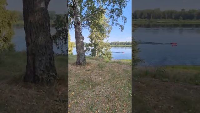 29 июля 2024 г. смотреть онлайн