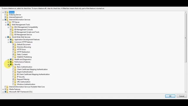 IIS Install in Windows PC смотреть онлайн
