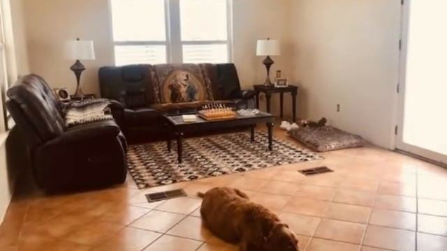 Key Allegro Real Estate - 118 Steward Ln смотреть онлайн