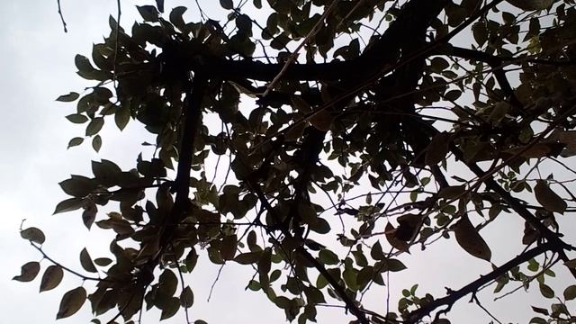 20241021_130715.mp4 смотреть онлайн