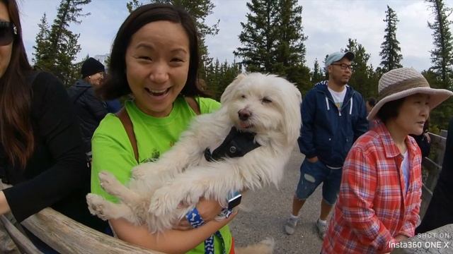 LAKE LOUISE RV TRIP Ep 2 Toronto-Western Canada 8200km trip 레이크루이스 캠핑카 여행 2부 토론토-캐나다 서부 8200km | 4K смотреть онлайн