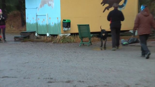 Tomeran Fataali - Character Test смотреть онлайн