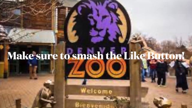 My Intro For Summer 2023 смотреть онлайн