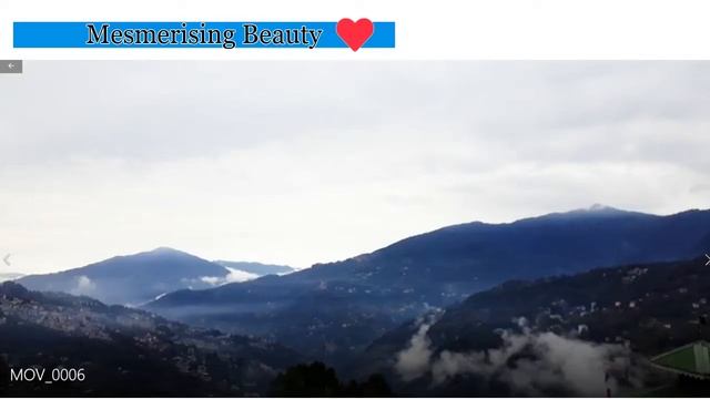 AMAZING View from my window ( happy Quarantine ) смотреть онлайн