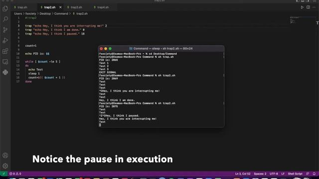 Trap Command - Script смотреть онлайн