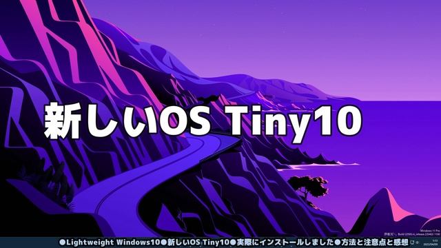 Windows11●10●Lightweight Windows10●新しいOS Tiny10●実際にインストールしました●方法と注意点と感想 смотреть онлайн