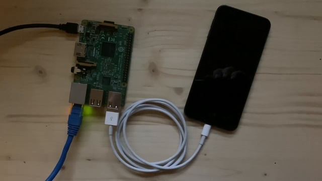 checkra1n on Raspberry PI смотреть онлайн