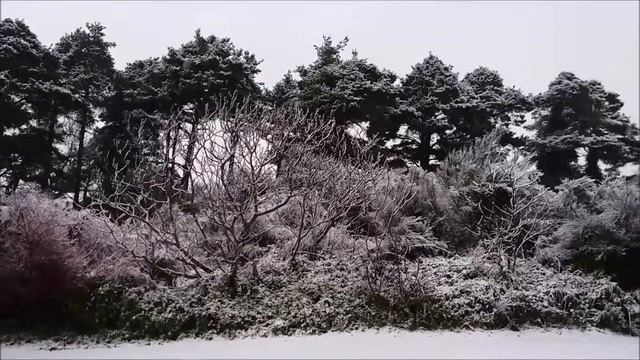 Mountain Monk - Scott Spalding смотреть онлайн