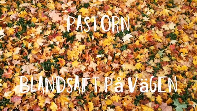 Pastorn - Blandsaft på vägen (Produced by Kwelar) смотреть онлайн
