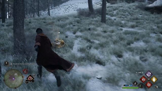 Hogwarts Legacy PS5 -Hindi- Gameplay Walkthrough PART 16 - BREEDING смотреть онлайн