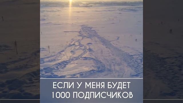 РОЗЫГРЫШ НА АЙФОН 4S СПОЛУЧИ БЕСПЛАТНО АЙФОН смотреть онлайн