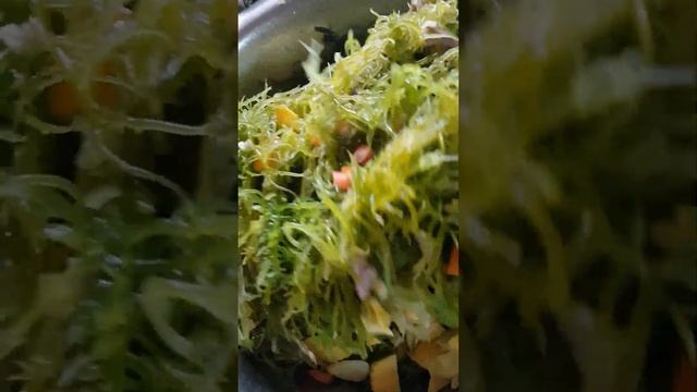 HOW TO DO SEAWEEDS SALAD OR HALAMANG DAGAT SALAD.............. #seaweedssalad смотреть онлайн