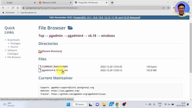 1.2.3 Install PostgreSQL dan PGAdmin 4 (Windows) | Gaji dollar kerja dirumah | Belajar Data Analyst смотреть онлайн