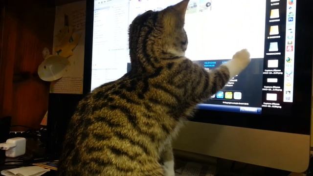 Vanille et l'iMac смотреть онлайн