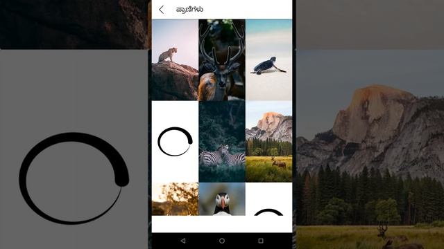 Wallpaper App - 4K HD Wallpaper | HD Backgrounds (Kannada) Promo Video смотреть онлайн