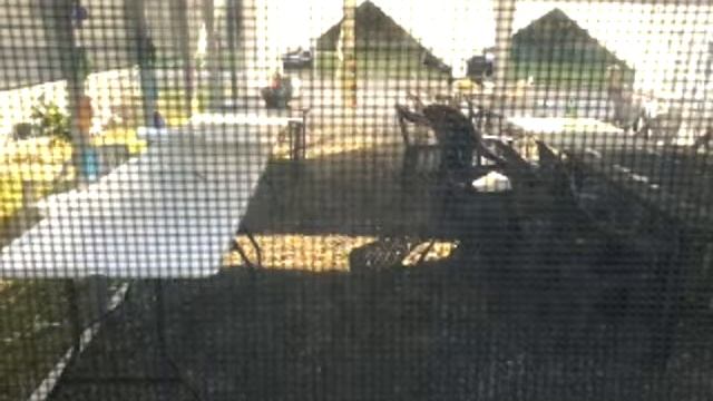 All Morning Window Cam Live Stream September 17 2022 смотреть онлайн