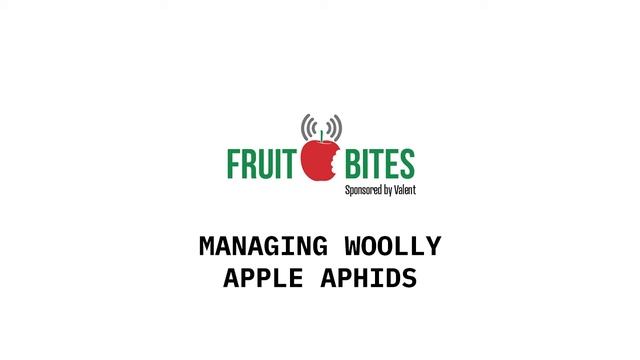 Managing Woolly Apple Aphids смотреть онлайн