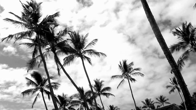 Jack Johnson - Radiate (Switch Dub Remix) смотреть онлайн