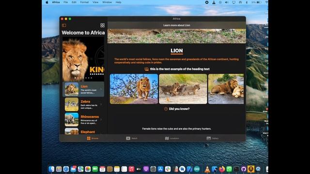 Africa BIG 6 and National Park Guide Native IOS and MacOS using SwiftUI . смотреть онлайн