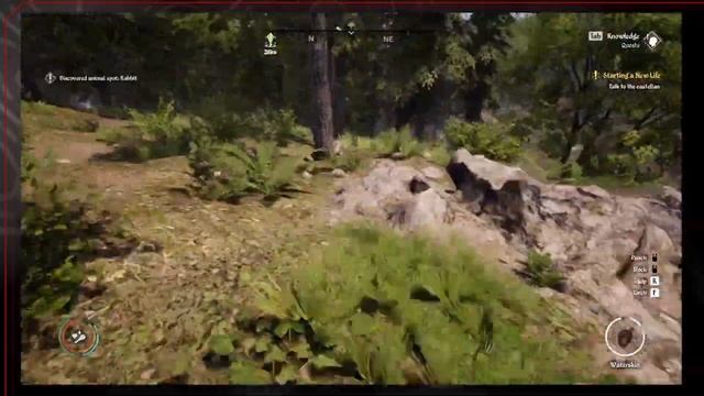 How To Make Over 1K For Beginners (10 minutes | Medieval Dynasty смотреть онлайн