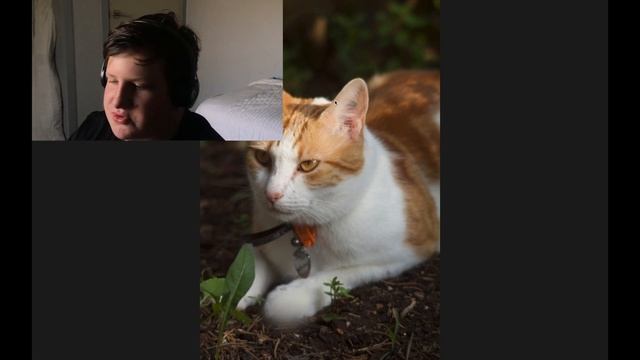 How to edit photos using Apple photos on a Mac смотреть онлайн